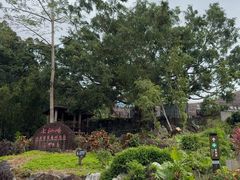 -七仙岭温泉国家森林公园