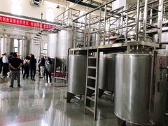 -丹世红酒庄·烧烤·团建·婚礼·水上运动