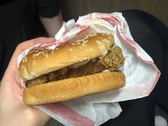 麦辣鸡腿汉堡经典中薯条套餐-麦当劳(虹桥南丰城店)