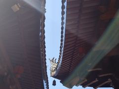 -上海东林寺(金山区)
