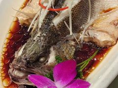 -刘胖子家常菜·蹄花焖藕(富安街店)