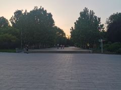 -望湖公园