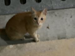 -奥冠体育华师附中恒温游泳馆