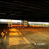 春天马术🏇🏻知道一下！