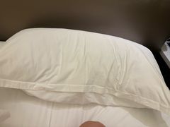 -郑州美盛喜来登大酒店