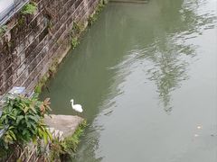 -成都市活水公园