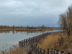 -野鸭湖国家湿地公园