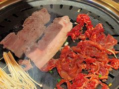 -杨小佳·齐齐哈尔烤肉·烤串(广州店)