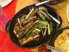 葱姜炒竹蛏-大树下海鲜饭店