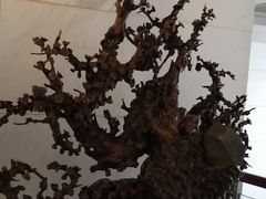 -金台食府(夕照寺店)