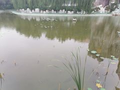 -郑州方特梦幻王国