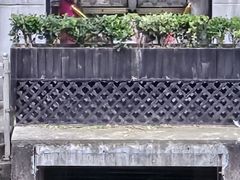 -智慧湾科创园