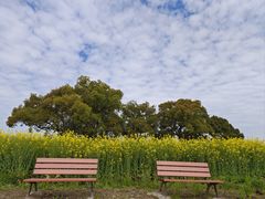 -嘉北郊野公园