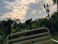 -东湖落雁景区