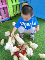 -萌宠亲子动物乐园(槐房万达店)