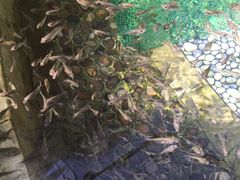 -九华山酒店温泉