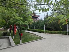 -大槐树寻根祭祖园