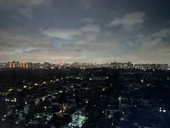 -上海浦东康桥绿地假日酒店