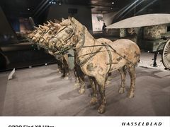 -秦始皇帝陵博物院-丽山园