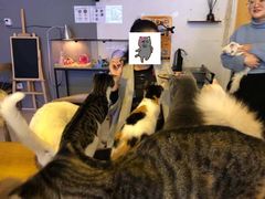 -平行世界·猫咖(首经贸店)