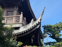 -龙华素斋(龙华路店)