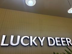 -仙隐小鹿料理食堂(武汉摩尔城店)