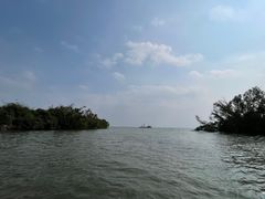 -东寨港红树林旅游区