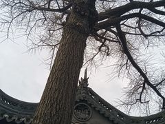 -豫园