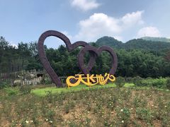 -黄陂区野村谷景区