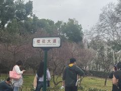 -武汉大学-樱园