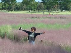 -汉长安城未央宫国家考古遗址公园