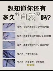 -Bollins波林丝•专研护发中心