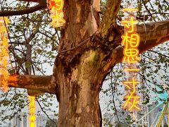 -成都欢乐谷