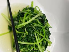清炒鸡毛菜-江仙雅居(中航国际店)