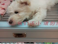 -FAELING PETS美天灵宠物(合生汇店)