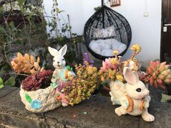 -浔岚云舍mist静谧观景美宿(丽江古城店)