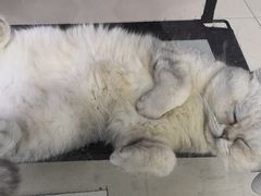 -福瑞记老孙头biangbiang面(新生路店)