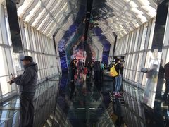 -上海环球金融中心云端足球盛典