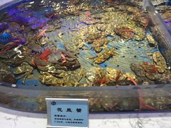 水产区-澜悦港海鲜体验主题餐厅