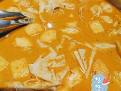 麻辣锅-杨翔豆皮涮牛肚(华阳城店)