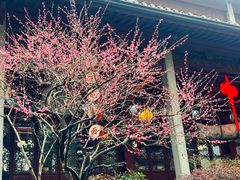 -灵隐飞来峰景区