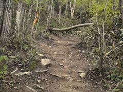 -安吉龙王山风景区