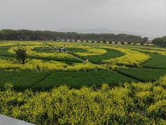 -苏州太湖西山岛开心农场