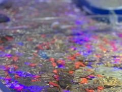 -澜悦港海鲜体验主题餐厅