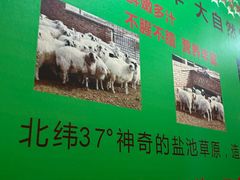 -香木香羊(小汤山店)