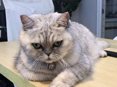 -Oasis绿洲银饰珍珠手作diy(壹方城店)