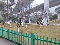 -胖娃古镇鸡杂(磁器口总店)
