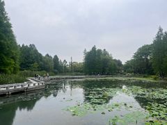 -白塘生态植物园