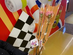 母亲节康乃馨-蔡澜点心·粤菜(西单大悦城店)