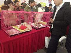 -北京华联购物中心(同成街店)